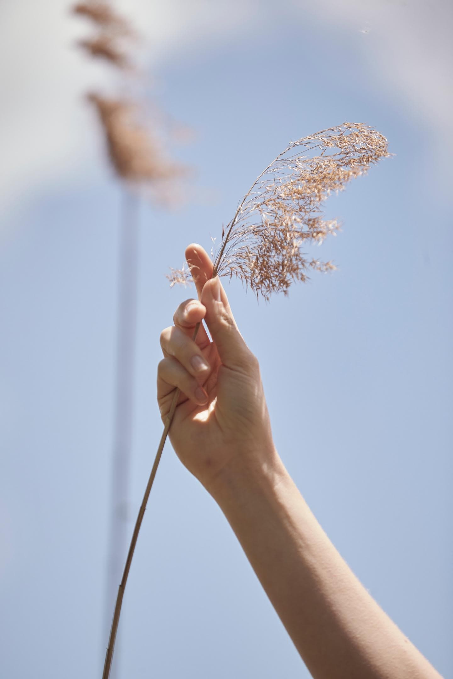 RR_weareagrowingfamily